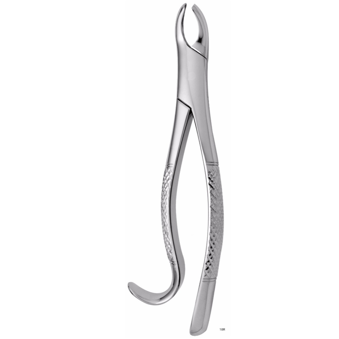 Extracting Forceps American Pattern Forceps No